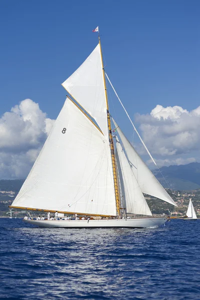 Oude zeilboot tijdens een regatta op de klassieke yac panerai — Stok fotoğraf