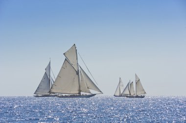 oude zeilboot tijdens een regatta op de klassieke yac panerai