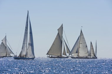oude zeilboot tijdens een regatta op de klassieke yac panerai