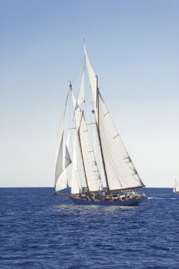 oude zeilboot tijdens een regatta op de klassieke yac panerai