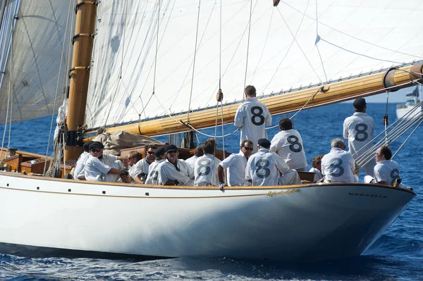 Régi vitorlás során a regatta, a panerai klasszikus Gyuláné — Stock Fotó