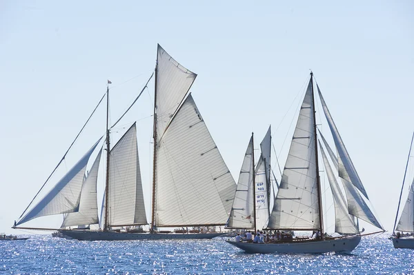 oude zeilboot tijdens een regatta op de klassieke yac panerai