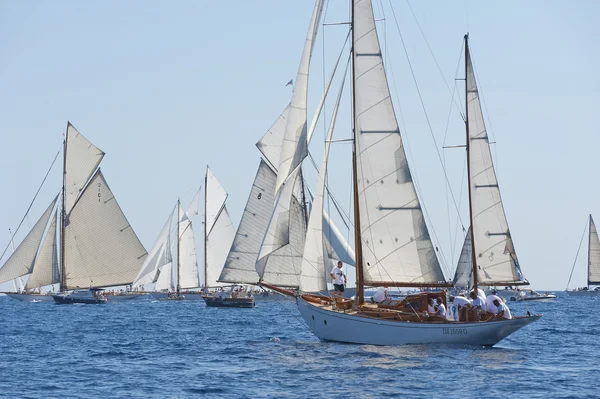 Gammel seilbåt under en regatta på Panerai Classic Yac – stockfoto