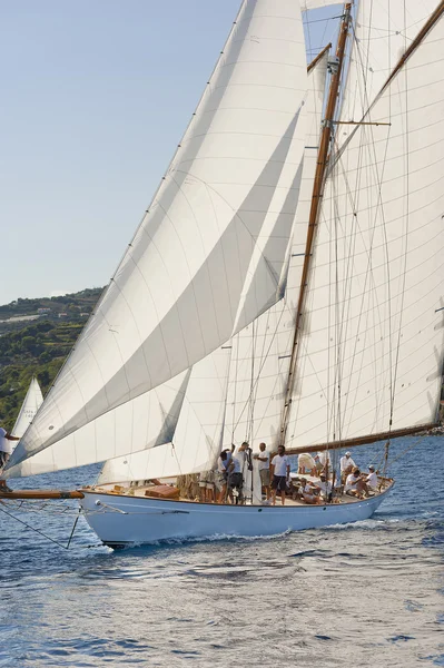 oude zeilboot tijdens een regatta op de klassieke yac panerai