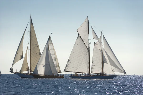 Oude zeilboot tijdens een regatta op de klassieke yac panerai — Stockfoto