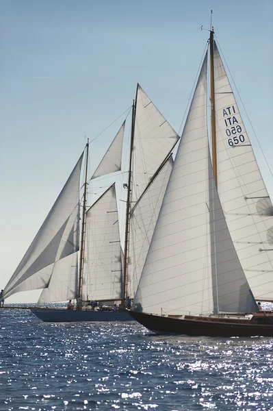 oude zeilboot tijdens een regatta op de klassieke yac panerai