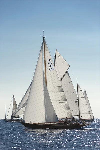 Gamle sejlbåd under en regatta på Panerai Classic Yac - Stock-foto