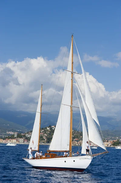 Gamla segelbåt under en regatta på panerai classic yac — Stockfoto