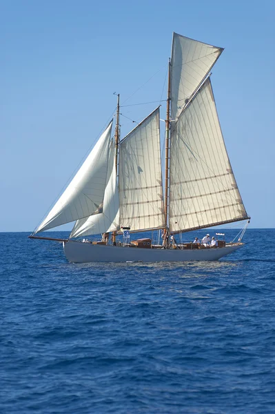 Gamla segelbåt under en regatta på panerai classic yac — Stockfoto