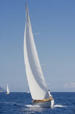 oude zeilboot tijdens een regatta op de klassieke yac panerai