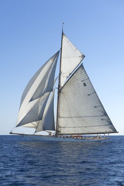 oude zeilboot tijdens een regatta op de klassieke yac panerai