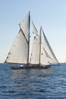 oude zeilboot tijdens een regatta op de klassieke yac panerai
