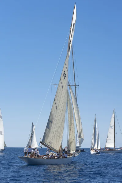 Gamla segelbåt under en regatta på panerai classic yac — Stockfoto