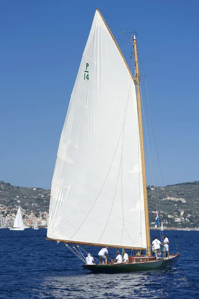 Gamla segelbåt under en regatta på panerai classic yac — Stockfoto