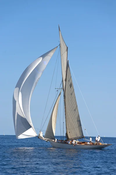 古帆船在沛纳海经典 yac 帆船赛期间 — 图库照片
