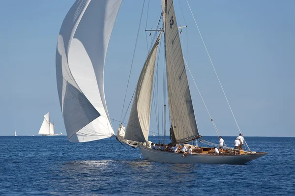 Gamla segelbåt under en regatta på panerai classic yac — Stockfoto