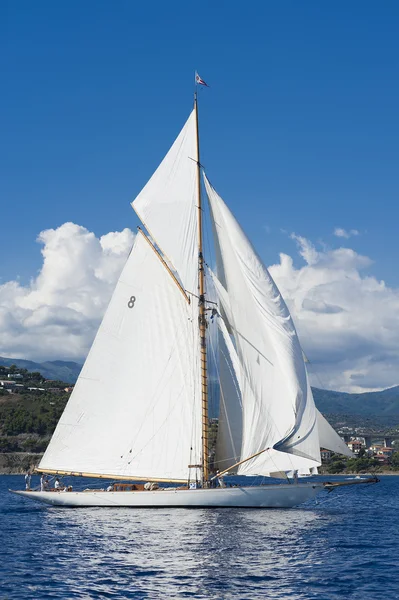 Gamla segelbåt under en regatta på panerai classic yac — Stockfoto