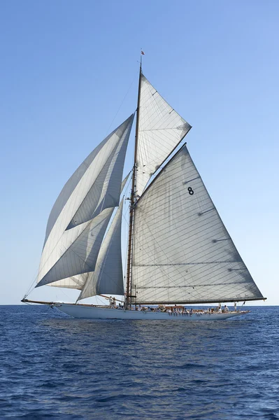 oude zeilboot tijdens een regatta op de klassieke yac panerai