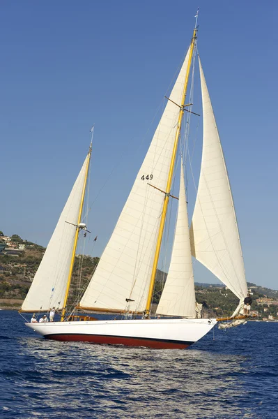 Altes segelboot während einer regatta auf dem panerai classic yac — Stockfoto