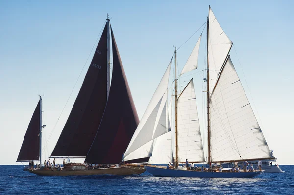 Oude zeilboot tijdens een regatta op de klassieke yac panerai — Stok fotoğraf