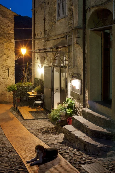 Dolcedo, Imperia yakınlarında güzel bir köy — Stok fotoğraf