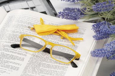 okuma gözlüğü ile ilgili bir kitap evde onayladı