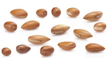 argan beyaz, yakın bir tarih tohumları yukarı beyaz arka plan üzerinde