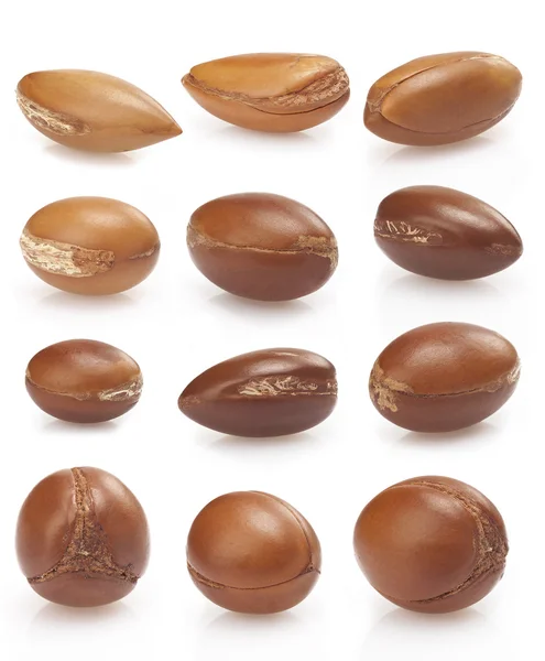 Seeds of argan on white,a close up on white background — Stock Photo, Image