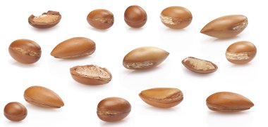 argan beyaz, yakın bir tarih tohumları yukarı beyaz arka plan üzerinde