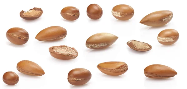 Seeds of argan on white,a close up on white background — Stock Photo, Image