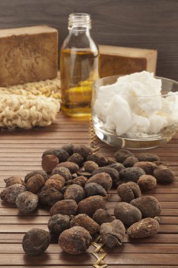 Shea fındık doğal bir arka plan üzerinde
