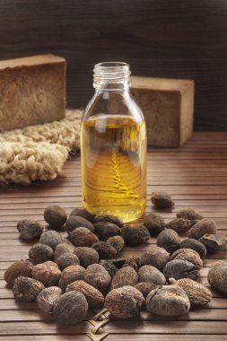 Shea fındık doğal bir arka plan üzerinde