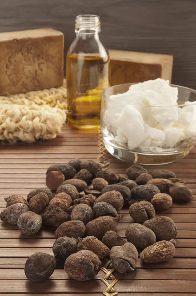 Shea nuts on a natural background — Stock Photo, Image