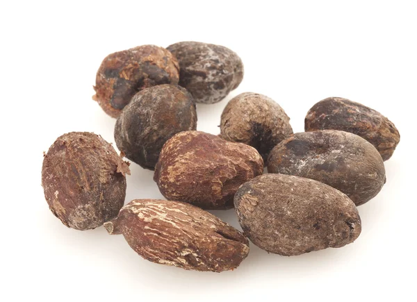 Nueces de karité sobre fondo blanco, semillas de karite — Foto de Stock