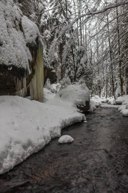 Dondurucu şelaleye yakın çekim, Brtniky, Çek Cumhuriyeti