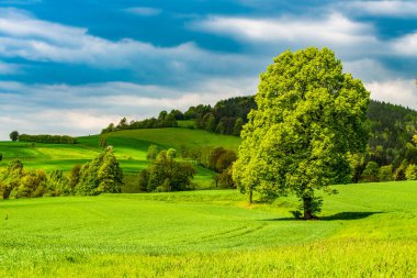 Bohem İsviçre 'de Sonbahar Sabahı, Bohemya, Çek Cumhuriyeti
