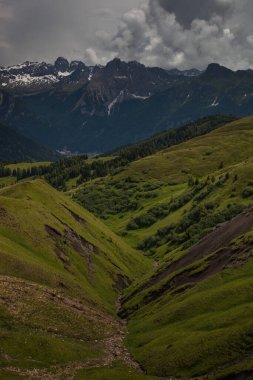 Trentino 'daki Dolomiti Dağı' ndaki manzara ormanı.