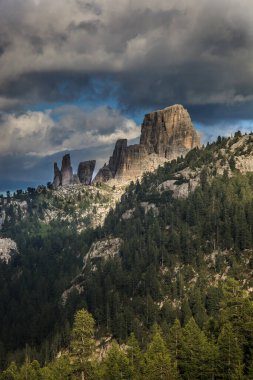 Trentino 'daki Dolomiti Dağı' ndaki manzara ormanı.