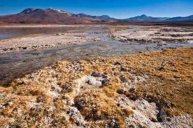 Piedras Rojas (Kızıl Kayalar), Deserto do Atacama (Atacama Çölü), Şili