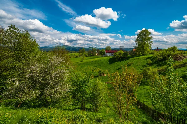 Bohem Sviçre Sonbahar Sabahı Bohemya Çek Cumhuriyeti — Stok fotoğraf