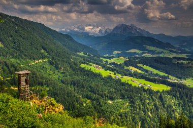 Trentino 'daki Dolomiti Dağı' ndaki manzara ormanı.