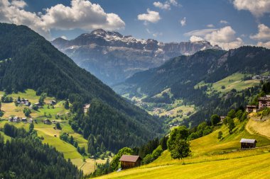 Trentino 'daki Dolomiti Dağı' ndaki manzara ormanı.