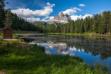 Trentino 'daki Dolomiti Dağı' ndaki manzara ormanı.