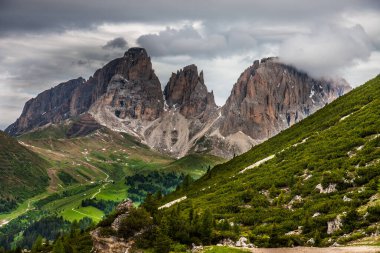Trentino 'daki Dolomiti Dağı' ndaki manzara ormanı.