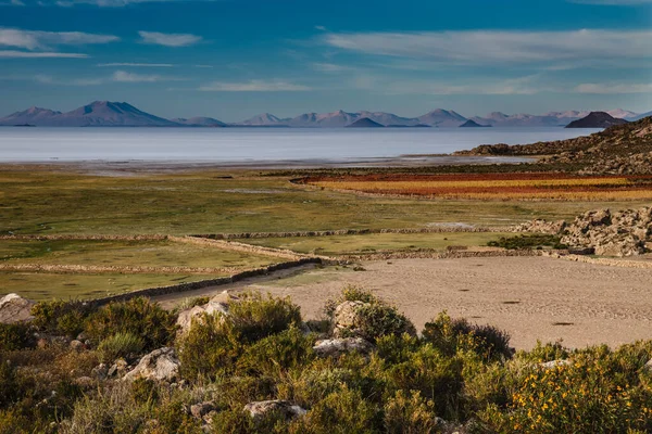 Laguna Colorada Significa Lago Rojo Lago Salado Poco Profundo Suroeste — Foto de Stock