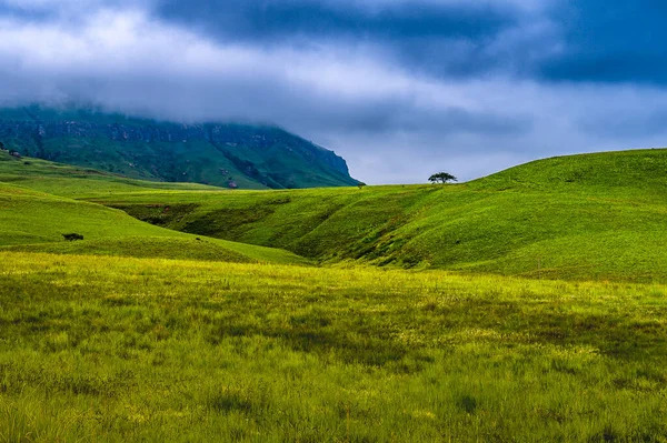 Drakensberg Kungliga Natals Nationalpark Sydafrika — Stockfoto