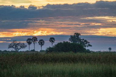Botswana Afrika 'daki Okavango deltasının üzerinde gün doğumu