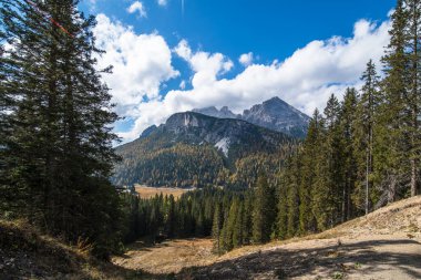 Güzel bir dağlık bölge. Mükemmel mavi gökyüzü ile ünlü Sassolungo zirvesinin manzaralı görüntüsü. Harika Vall Gardena güneş ışığı altında. Majestic Dolomites Dağları. Şaşırtıcı doğa manzarası