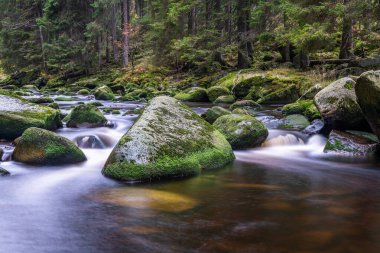Sumava Dağları 'ndaki Vydra Nehri Czech Cumhuriyeti.