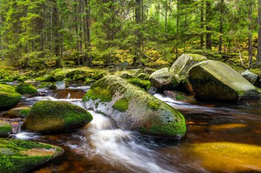 Sumava Dağları 'ndaki Vydra Nehri Czech Cumhuriyeti.